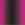 Paddle Drip - Gradient Black / Pink 3-Pack