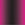 Paddle Drip - Gradient Black / Pink 3-Pack