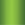 Paddle Drip - Gradient Green 3-Pack